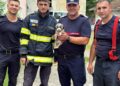 Misiune contra cronometru pentru salvarea cățelușei Raia. Pompierii timișoreni au săpat pentru a-i reda libertatea/Video
