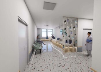 Investiție de 50 de milioane de lei pentru modernizarea Casei Austria din Timișoara/Foto