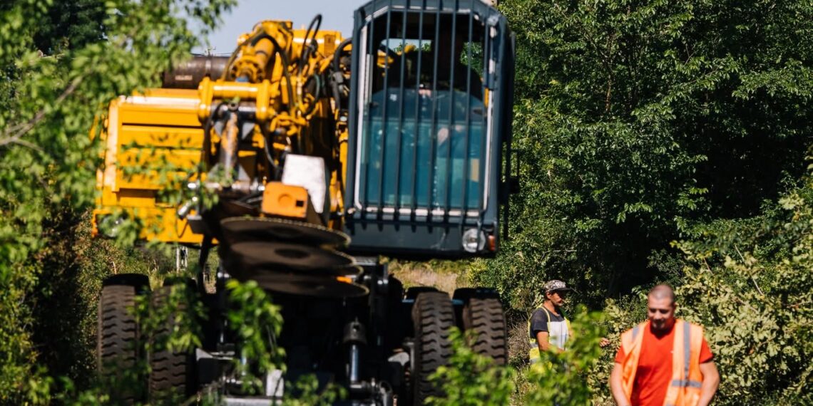 Lucrări de defrișare pe linia feroviară Timișoara–Buziaș–Lugoj. CFR Infrastructură intervine pentru creșterea siguranței circulației