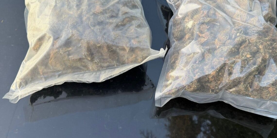 Trei bărbați, reținuți la Arad într-un dosar de trafic de droguri. Canabis vândut „la kilogram”, ascuns inclusiv în cărucior de copii