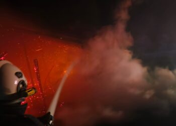 Incendiu la un adăpost de animale din Ineu. Cauza: scurtcircuit electric