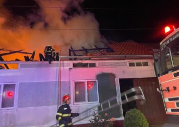Scurtcircuitul care a distrus trei gospodării: zeci de păsări au pierit în incendiul de la Slatina-Timiș/Video