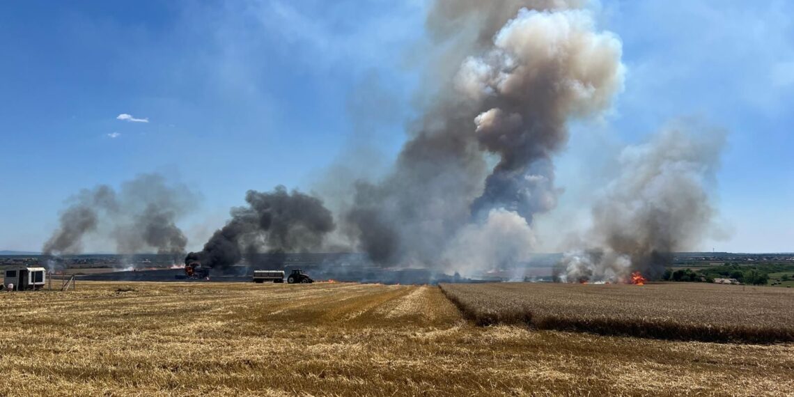 Weekend solicitant pentru pompierii din Timiș: 184 de intervenții, incendii de vegetație și culturi de grâu distruse de flăcări