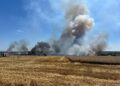 Weekend solicitant pentru pompierii din Timiș: 184 de intervenții, incendii de vegetație și culturi de grâu distruse de flăcări