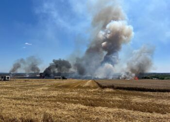 Weekend solicitant pentru pompierii din Timiș: 184 de intervenții, incendii de vegetație și culturi de grâu distruse de flăcări