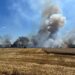 Weekend solicitant pentru pompierii din Timiș: 184 de intervenții, incendii de vegetație și culturi de grâu distruse de flăcări