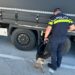 Amenzi de peste 77.000 de lei în urma unei razii în Timiș. Polițiștii au vizat migrația ilegală și contrabanda cu tutun
