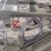 Prematurii extremi și echipa de „mici bijutieri” care luptă pentru ei la Maternitatea Odobescu din Timișoara/Foto