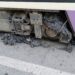Canicula afectează transportul public din Timișoara: restricțiile la tramvaie se prelungesc până miercuri după-amiază/Video