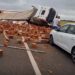 Accident grav pe Centura de Sud: un mort și un rănit după impactul dintre trei mașini și un autotren/Video