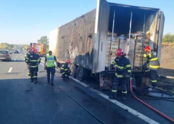 Incendiu pe A1, la un autotren care transporta hrană pentru animale