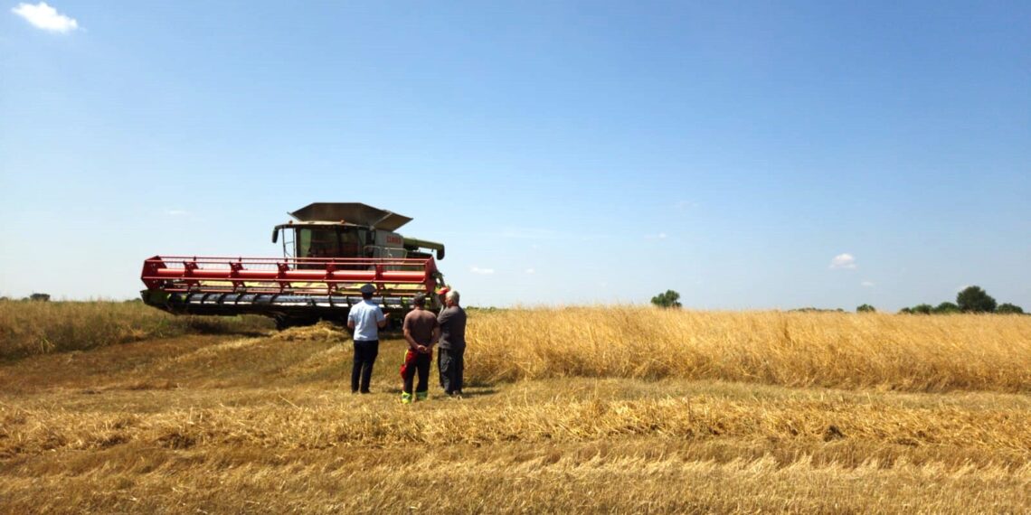 Măsuri de prevenire a incendiilor de vegetație uscată