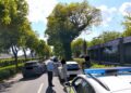 Graba și neatenția pot avea consecințe grave! 291 sancțiuni aplicate de polițiștii locali pietonilor care au traversat pe culoarea roșie a semaforului sau prin locuri nepermise