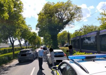Graba și neatenția pot avea consecințe grave! 291 sancțiuni aplicate de polițiștii locali pietonilor care au traversat pe culoarea roșie a semaforului sau prin locuri nepermise