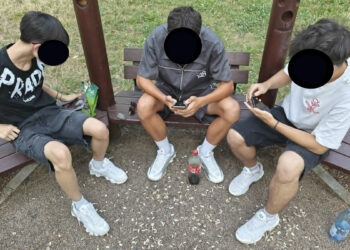 352 sancțiuni aplicate de polițiștii locali în zonele de parcuri pentru scandaluri, autovehicule parcate neregulamentar, coji de semințe și alte resturi aruncate, câini fără lesă