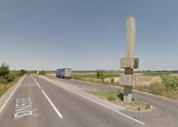 Intrările în județul Timiș ar putea fi transformate cu totemuri inspirate din simbolurile locale