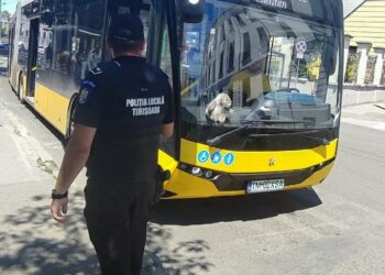 Nu parcați autoturismele în stațiile mijloacelor de transport în comun deoarece astfel este pusă în pericol siguranța călătorilor din acestea. 439 sancțiuni aplicate de polițiștii locali