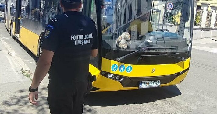 Nu parcați autoturismele în stațiile mijloacelor de transport în comun deoarece astfel este pusă în pericol siguranța călătorilor din acestea. 439 sancțiuni aplicate de polițiștii locali