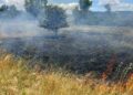 Peste 150 de misiuni gestionate în ultimele 48 ore de salvatorii timișeni