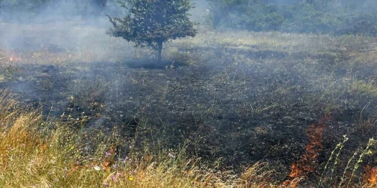 Peste 150 de misiuni gestionate în ultimele 48 ore de salvatorii timișeni