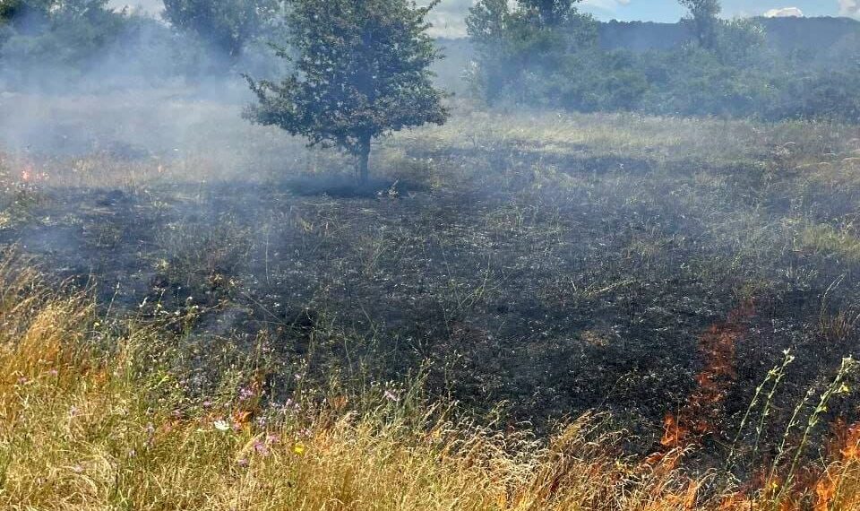 Peste 150 de misiuni gestionate în ultimele 48 ore de salvatorii timișeni
