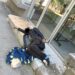 Acțiunile polițiștilor locali pentru combaterea cerșetoriei continuă – 318 persoane din județe precum Botoșani, Olt, Brăila, Buzău, Republica Moldova, dar și București, depistate pe străzi