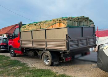 Două transporturi de lemn, oprite în trafic. Avizele erau expirate