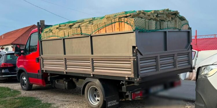 Două transporturi de lemn, oprite în trafic. Avizele erau expirate