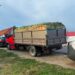 Două transporturi de lemn, oprite în trafic. Avizele erau expirate