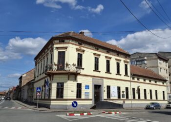 Peste 500 de cărți noi ajung la Biblioteca Municipală din Lugoj. Investiție în lectură după ani fără achiziții importante