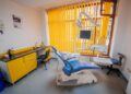 Primăria transformă 11 spații din cartierele Timișoarei în cabinete medicale și centre educaționale