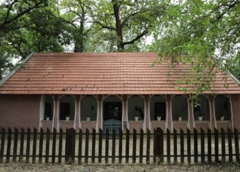 Casa de la Dragșina intră în circuitul muzeal al Muzeului Satului Bănățean Timișoara