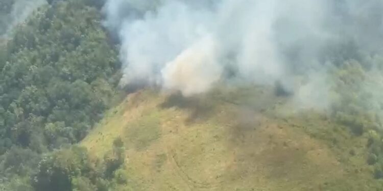 Incendii de vegetație în Caraș-Severin. Două elicoptere Black Hawk și zeci de pompieri luptă cu flăcările/Video