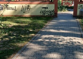 Tânăr trimis în judecată după un atac cu briceagul în Parcul Pădurice din Timișoara. O victimă a fost la un pas de moarte