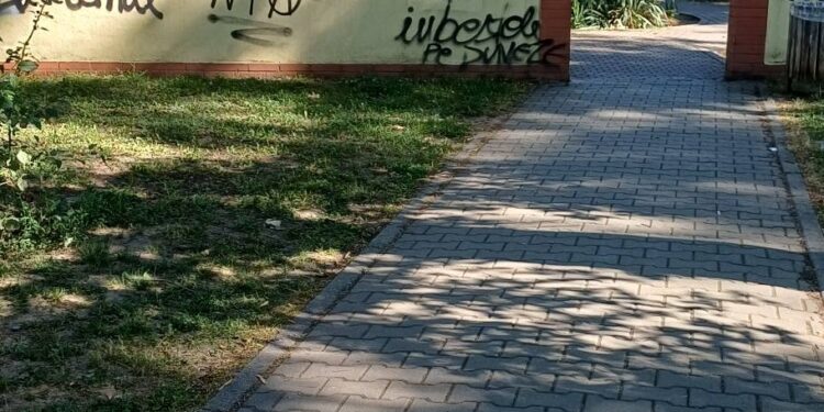 Tânăr trimis în judecată după un atac cu briceagul în Parcul Pădurice din Timișoara. O victimă a fost la un pas de moarte