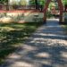Tânăr trimis în judecată după un atac cu briceagul în Parcul Pădurice din Timișoara. O victimă a fost la un pas de moarte