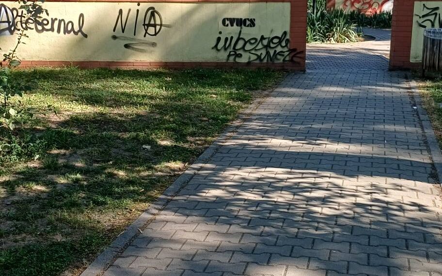 Tânăr trimis în judecată după un atac cu briceagul în Parcul Pădurice din Timișoara. O victimă a fost la un pas de moarte