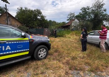 Controale ale Poliției Animalelor în Timiș. Amenzi pentru proprietarii de câini din Uliuc