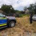 Controale ale Poliției Animalelor în Timiș. Amenzi pentru proprietarii de câini din Uliuc