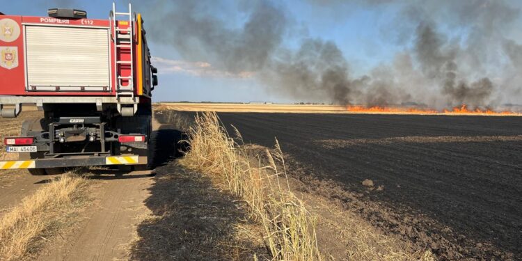 Peste 230 de hectare, mistuite de incendii în doar două zile. Pompierii timișeni au intervenit la aproape 200 de misiuni
