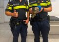 Polițiștii din Arad au salvat un șorecar rănit: „Respect pentru viață, indiferent de specie”
