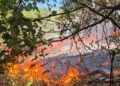 200 de misiuni gestionate de salvatorii timișeni în weekend
