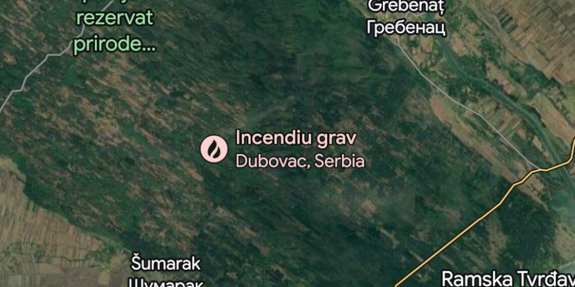 Nor de fum din Serbia, peste Timiș: incendiul de vegetație din zona Dubovac, resimțit în mai multe localități