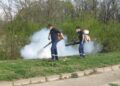 Acțiuni de dezinsecție terestră în luna septembrie