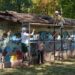 Au început lucrările de restaurare și punere în siguranță la Uszoda, cu peste 100 de voluntari/Foto