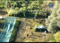 VIDEO. Plantație de canabis ascunsă pe malul Mureșului. Doi bărbați, prinși în flagrant în timp ce își îngrijeau cultura