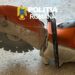 A furat un motofierăstrău de 4.000 de lei dintr-o autoutilitară, la Caransebeș. Suspectul, identificat rapid de polițiști