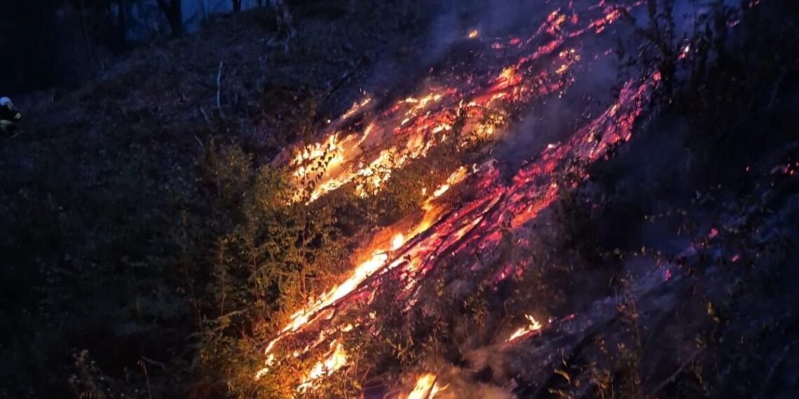 196 de intervenții în doar 48 de ore pentru pompierii din Timiș. Peste 300 de hectare de vegetație uscată au ars