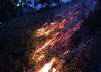 196 de intervenții în doar 48 de ore pentru pompierii din Timiș. Peste 300 de hectare de vegetație uscată au ars
