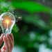 Lugoj reduce consumul de energie. Iluminatul public va funcționa la intensitate redusă pe timpul nopții